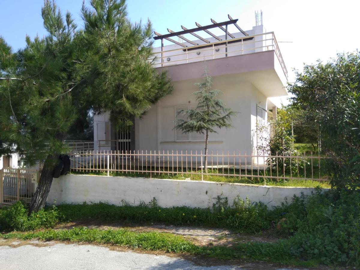 Thanasis Villa Kounoupidhianá 외부 사진
